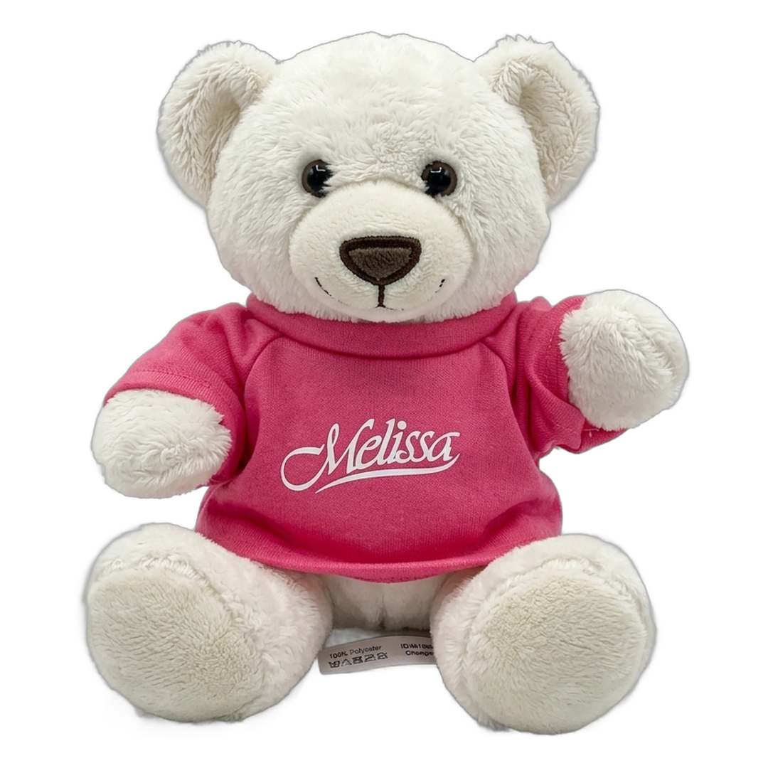 Melissa Naschenweng Teddybär mit pinkem Melissa-Shirt